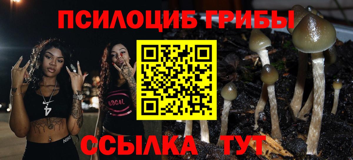Галлюциногенные грибы MAGIC MUSHROOMS Ликино-Дулёво